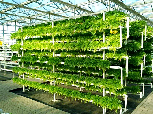 水肥一体机接入温室灌溉管网施工时，需要 ...